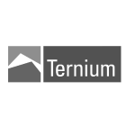 Ternium_logo